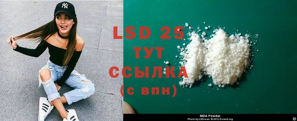 сатива Козловка