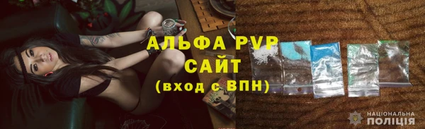 сатива Козловка