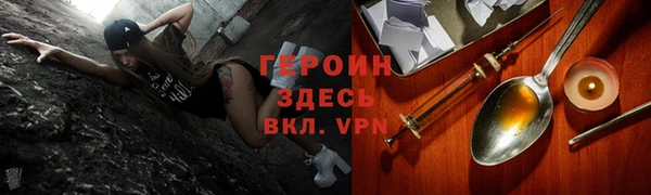 сатива Козловка