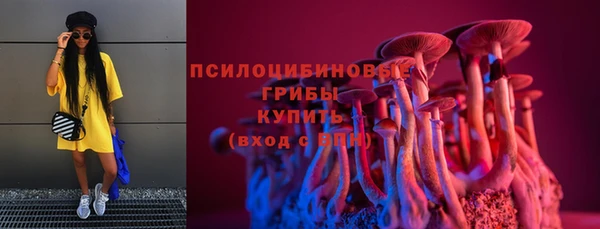 дживик Костерёво