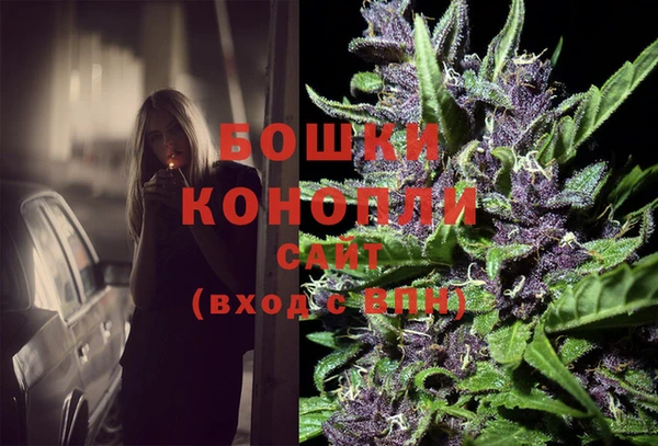 сатива Козловка