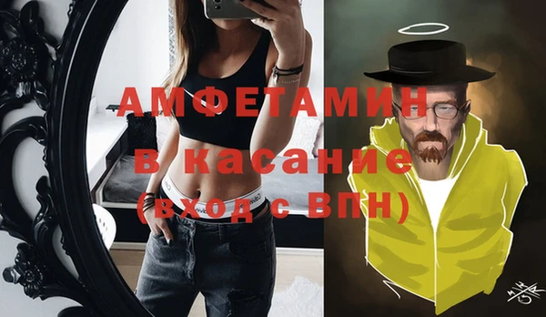 сатива Козловка