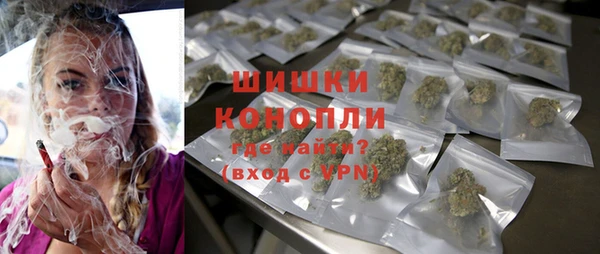 сатива Козловка