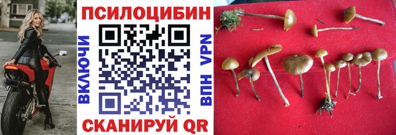 Псилоцибиновые грибы MAGIC MUSHROOMS  Называевск 